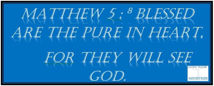 Bible pure in heart