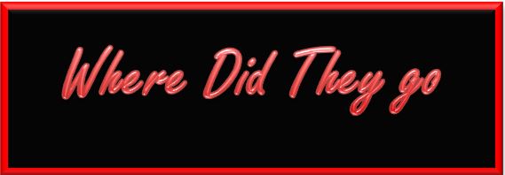 bible where did they go