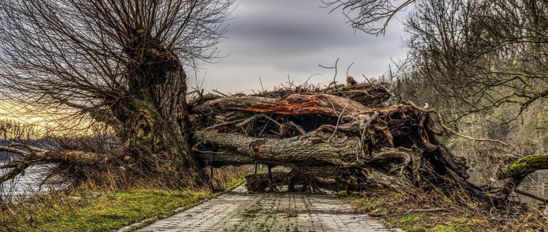 Impassable road block