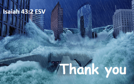 Thankful to be walked through chaos