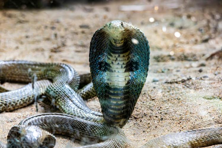 Funny Thought of the Day