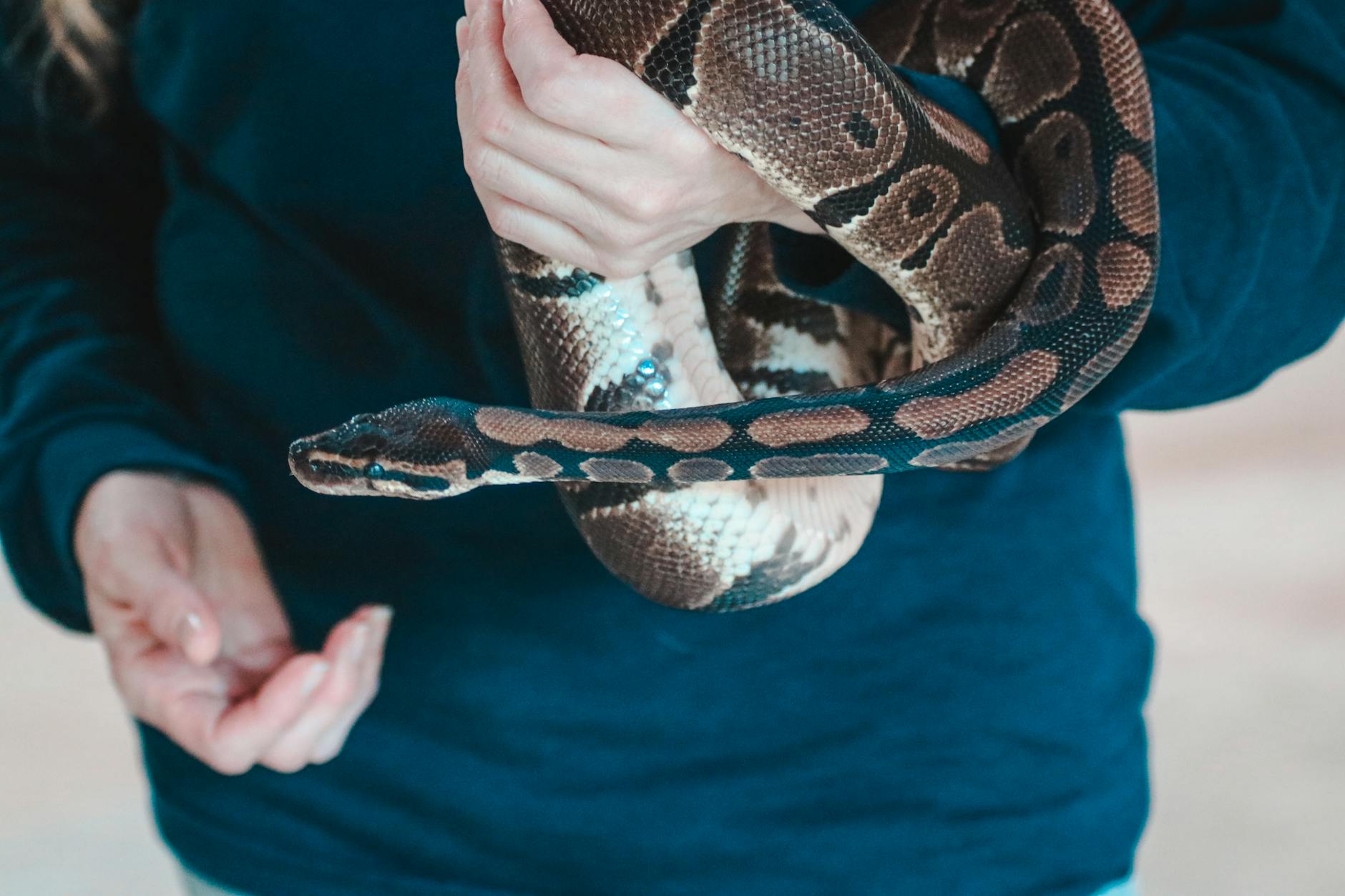 Man holding snake