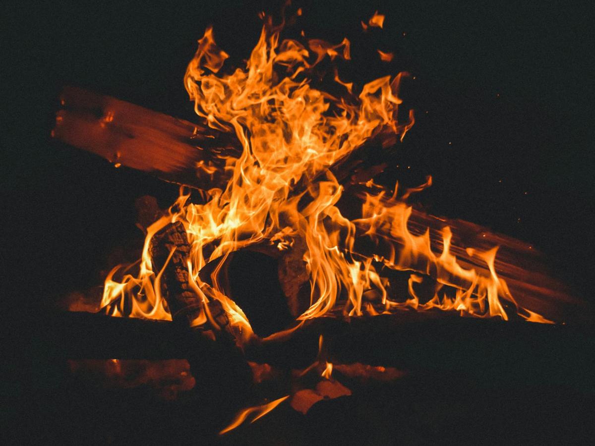 The Taliban are burning musical instruments in the name of morality. It is an assault on all culture